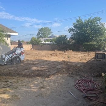 Dg Construction - Weed and dead grass removal. - General Contractors Near Me