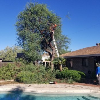 Morales Landscaping - Landscaping Near Me