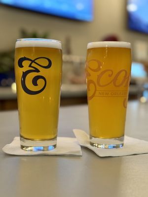Ecology Beer Creative by null
