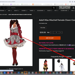Rubies Costume