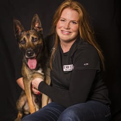 Sit Now Stay Dog Training
