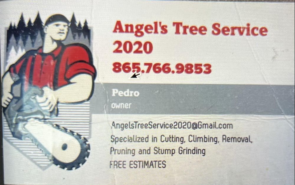 Angels Tree Service 2020 - tree service in Knoxville, TN