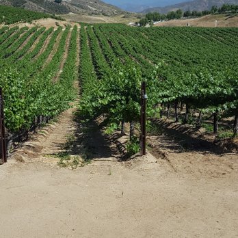 Leoness Cellars - Venues & Event Spaces Near Me - Temecula, California