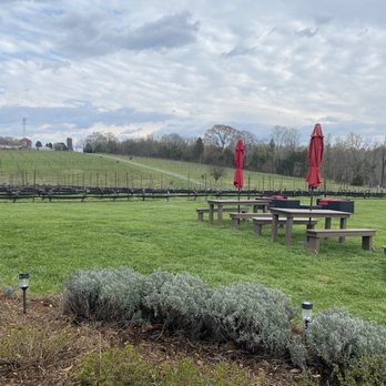 Rayson Winery & Vineyards - Wineries Near Me - Mocksville, North Carolina Rayson Winery & Vineyards - Wineries Near Me - Mocksville, North Carolina