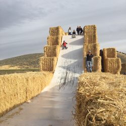 Burley Straw Maze