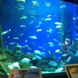 Deep Sea World - Deep Sea World