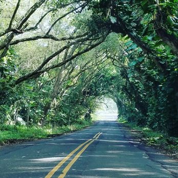 Michelle A Post, MA, LMFT - The path is open - Counseling & Mental Health Near Me - Los Angeles, California Michelle A Post, MA, LMFT - The path is open - Counseling & Mental Health Near Me - Los Angeles, California