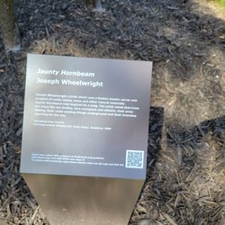 Jaunty Hornbeam - Plaque