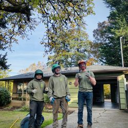 Altar Tree Service - Ty & crew