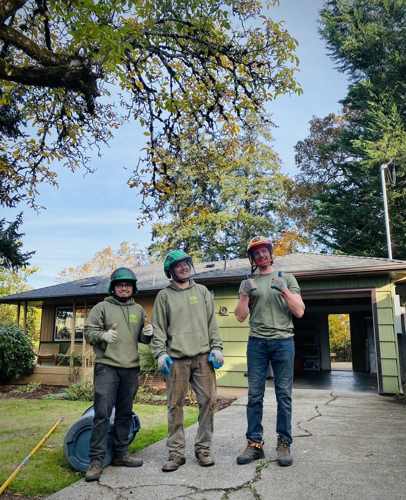 Altar Tree Service - tree service in Independence, OR