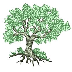 Heartwood Landscaping & Tree Services