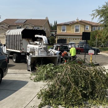 SSR Tree & Trimming Services - Wood chipper is used to make the job easier - Tree Services Near Me SSR Tree & Trimming Services - Wood chipper is used to make the job easier - Tree Services Near Me