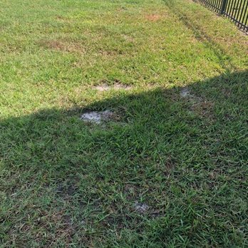 360 Eco Solutions - Landscaping Near Me