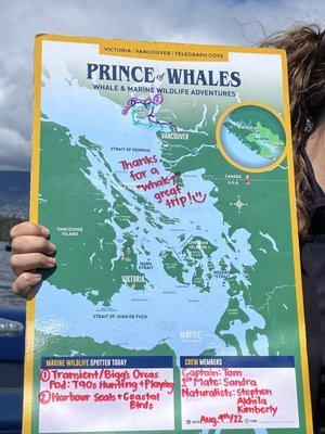 Prince of Whales - Whale & Marine Wildlife Adventures Vancouver by null