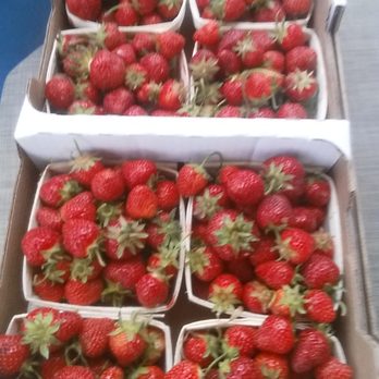Mandigo Farms - The best strawberries around - Farms Near Me - Paw Paw, Michigan Mandigo Farms - The best strawberries around - Farms Near Me - Paw Paw, Michigan