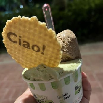 Delicious By Carlotta Gelati - Gelato Near Me - Weston, Florida Delicious By Carlotta Gelati - Gelato Near Me - Weston, Florida