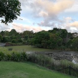 Sydney Park - The Wetlands.