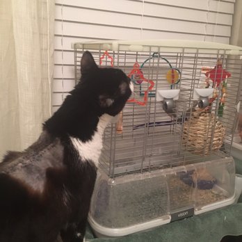 Full Circle Animal Hospital - Veterinarians Near Me - Callahan, Florida