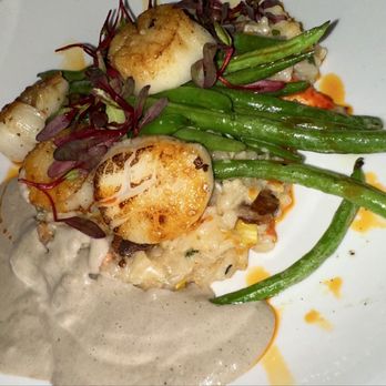 City Grille and Raw Bar - Diver scallops - Wine Bars Near Me - Jacksonville, Florida City Grille and Raw Bar - Diver scallops - Wine Bars Near Me - Jacksonville, Florida