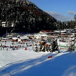 le slalom