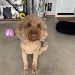 The cutest boy!