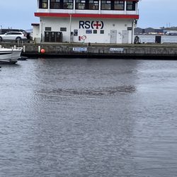 Vågen