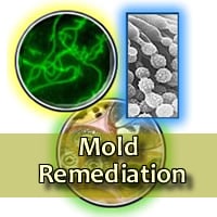🦠 Mold Problems? We’ve Got the Solution! 🦠 - 🚨 Over 25 Years of Experience | Locally Owned | Free Estimates 🚨
Mold isn’t just unsightly—it’s a serious health risk that can cause respiratory issues, allergies, and property damage. Mold Eliminators is your trusted partner for expert mold removal and remediation in Las Vegas and surrounding areas.
✔ Certified Mold Removal Specialists
✔ Residential & Commercial Services
✔ HVAC/Duct Cleaning & Decontamination
✔ Asbestos Abatement Experts
✔ Strict Compliance with Industry Standards
🏡 Breathe Easier in a Safe & Mold-Free Space 🏡
📞 Call (702) 442-1126 for a Free Estimate – Available 24/7!
#MoldRemoval #MoldRemediation #HealthyHome #LasVegas 🦠 Mold Problems? We’ve Got the Solution! 🦠 - 🚨 Over 25 Years of Experience | Locally Owned | Free Estimates 🚨
Mold isn’t just unsightly—it’s a serious health risk that can cause respiratory issues, allergies, and property damage. Mold Eliminators is your trusted partner for expert mold removal and remediation in Las Vegas and surrounding areas.
✔ Certified Mold Removal Specialists
✔ Residential & Commercial Services
✔ HVAC/Duct Cleaning & Decontamination
✔ Asbestos Abatement Experts
✔ Strict Compliance with Industry Standards
🏡 Breathe Easier in a Safe & Mold-Free Space 🏡
📞 Call (702) 442-1126 for a Free Estimate – Available 24/7!
#MoldRemoval #MoldRemediation #HealthyHome #LasVegas