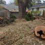 Photo of Dan's Tree & Landscaping