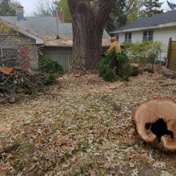Dan's Tree & Landscaping