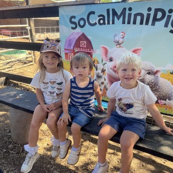 SoCalMiniPigs - Pet Breeders Near Me - Valley Center, California