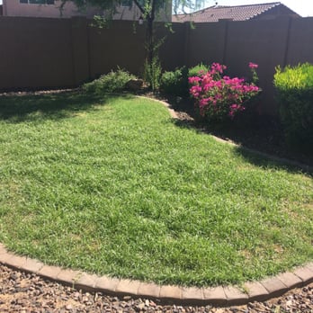 Lucas Lawn and Yard Care - How bad the yard looks after months with them. - Landscaping Near Me Lucas Lawn and Yard Care - How bad the yard looks after months with them. - Landscaping Near Me