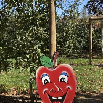 Butler's Orchard - Apple picking area - Farmers Market Near Me - Germantown, Maryland