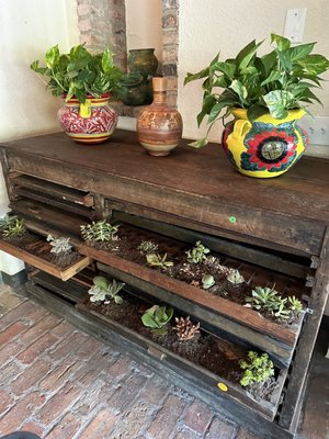 Verde Garden by null