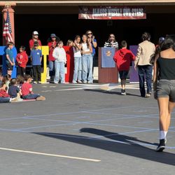 Alamos Elementary School - Owl star