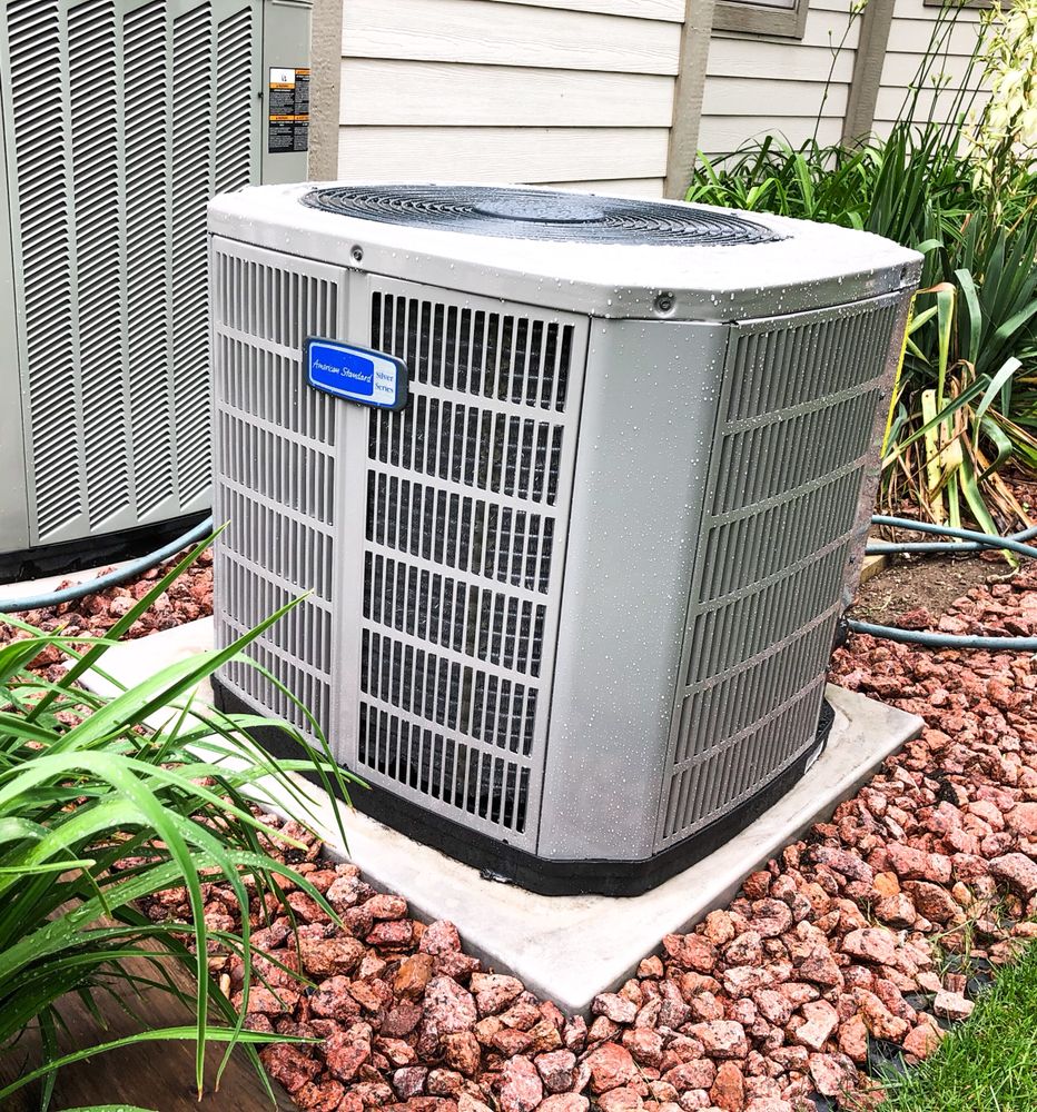 Slide of Grand Comfort