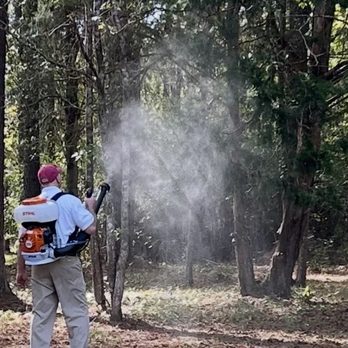 Why U Buggin’ Pest & Termite Control - Hank Spivey owner of Why U Buggin Pest & Termite Control - Pest Control Near Me - Tallahassee , Florida Why U Buggin’ Pest & Termite Control - Hank Spivey owner of Why U Buggin Pest & Termite Control - Pest Control Near Me - Tallahassee , Florida