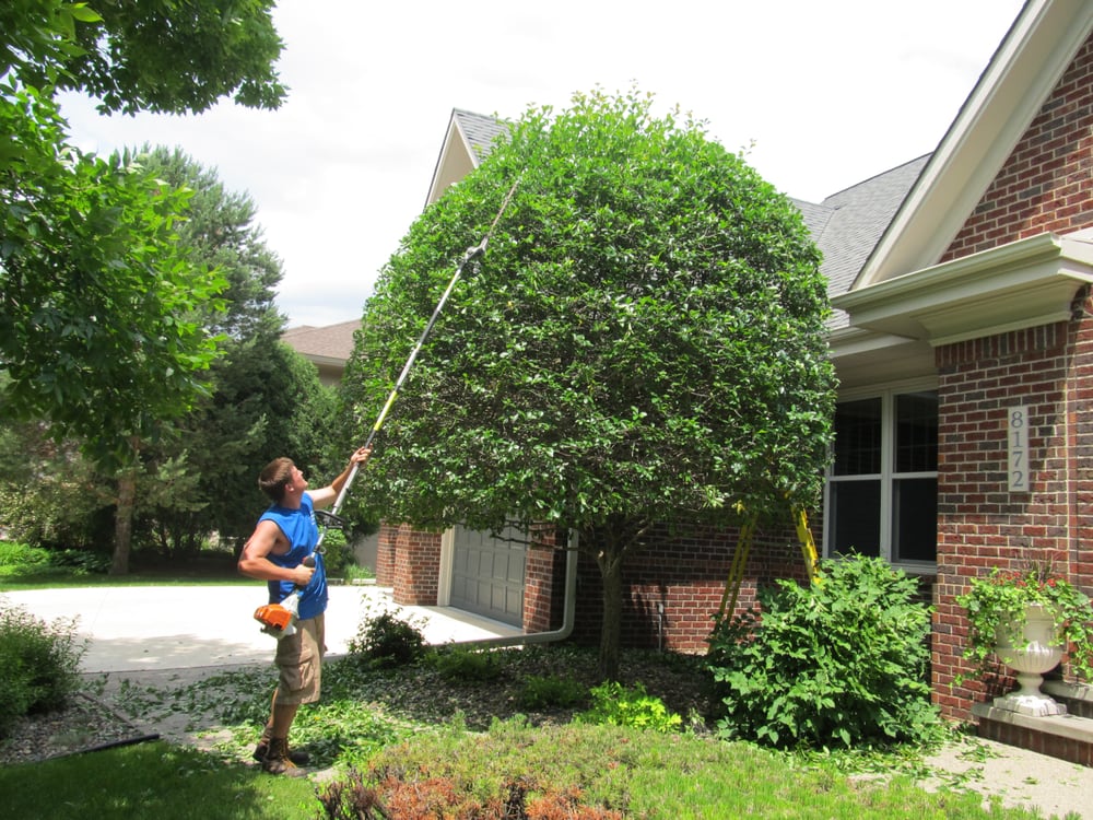 Branching Out Shrub Trimming - tree service in Woodbury, MN