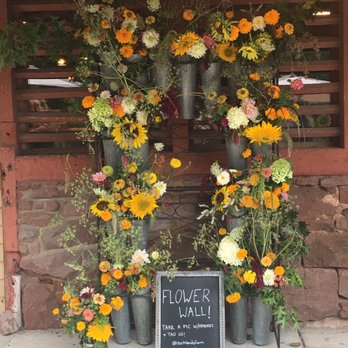 Rocklands Farm Winery - Flower wall. - CSA Near Me - Poolesville, Maryland Rocklands Farm Winery - Flower wall. - CSA Near Me - Poolesville, Maryland