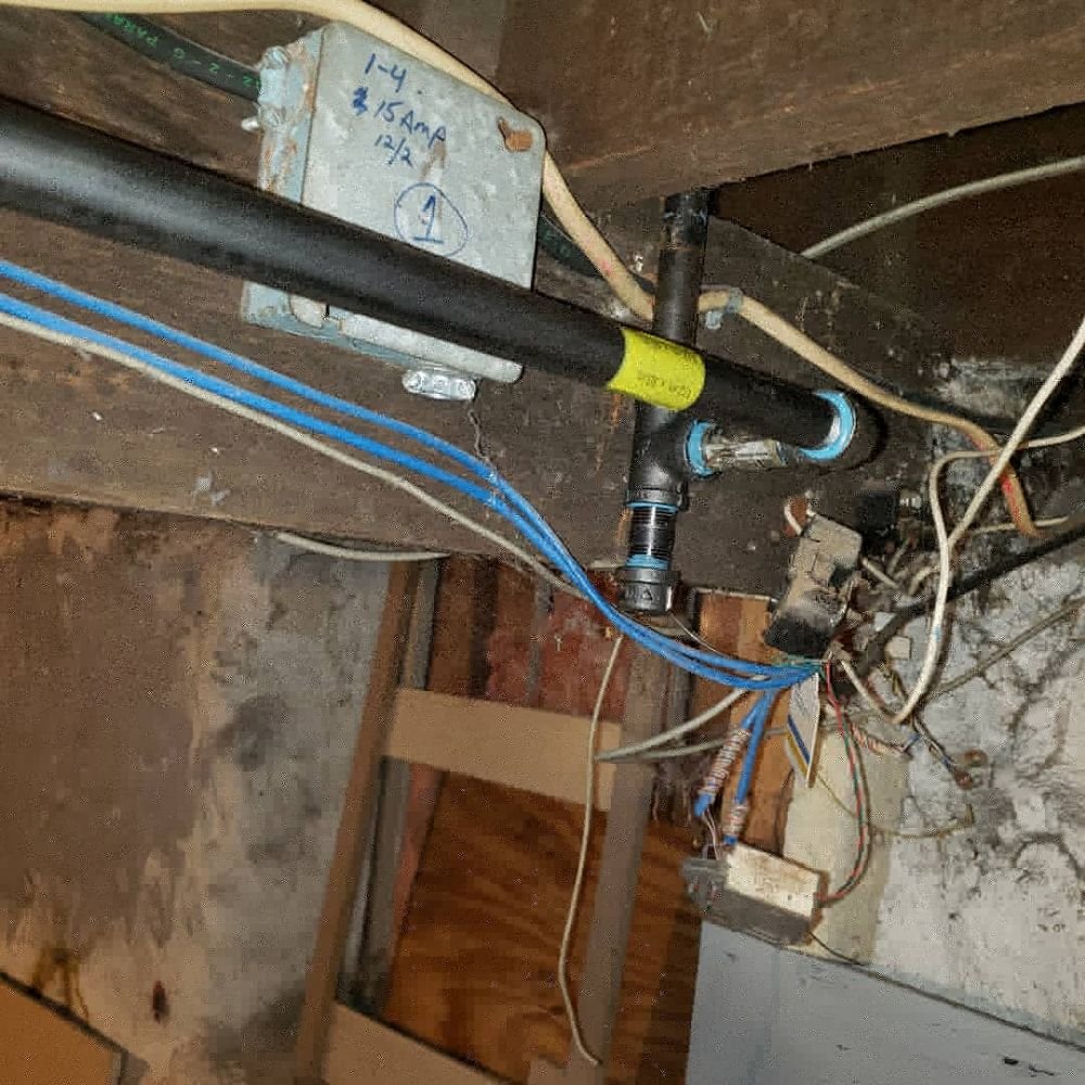 Slide of The Permanent Solution