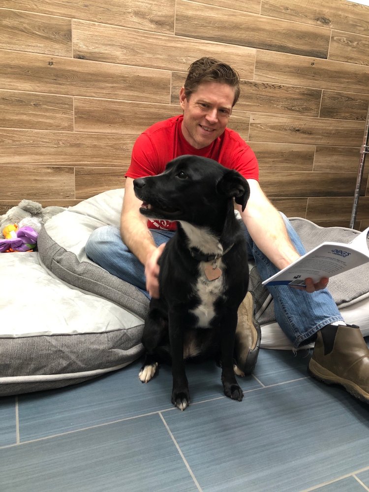 CAMP BOW WOW Updated September 2024 20 Photos & 17 Reviews 1341 Hughes Ford Rd Suite 119 E