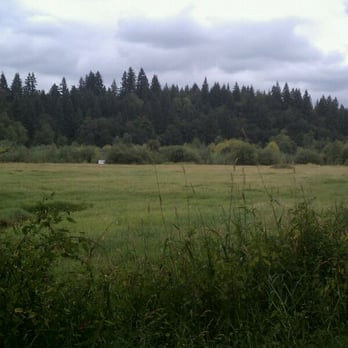 Salmon Creek Park - Parks Near Me - Vancouver, Washington Salmon Creek Park - Parks Near Me - Vancouver, Washington