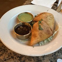 Indian Bite - Somasa Plate