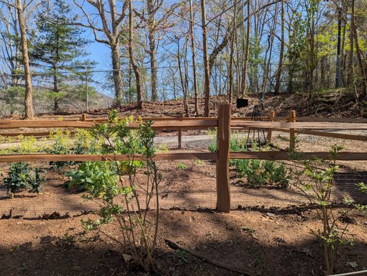 Western North Carolina Nature Center by null