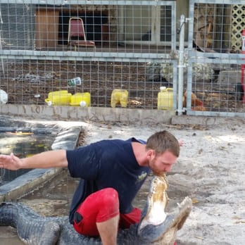 Everglades Outpost - Zoos Near Me - Homestead, Florida
