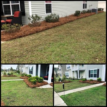 Dedicated Lawn Care - Laying fresh pine straw really enhances the beauty of each home! - Tree Services Near Me Dedicated Lawn Care - Laying fresh pine straw really enhances the beauty of each home! - Tree Services Near Me