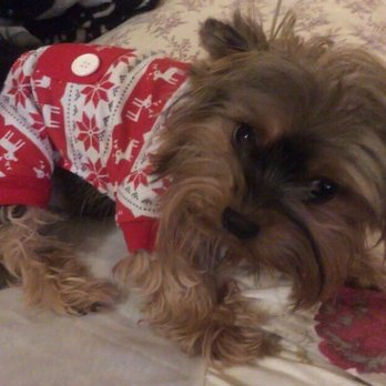 PetSmart - My nephew Rocky - Pet Stores Near Me - Tustin, California