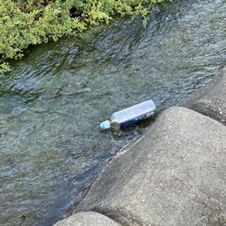 Island Cove Adventures - More trash