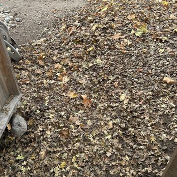 New Horizons Landscape - November 29 this was the work they did, left all the leaves right in front my gate. - Landscaping Near Me - Atascadero, California New Horizons Landscape - November 29 this was the work they did, left all the leaves right in front my gate. - Landscaping Near Me - Atascadero, California