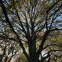 Photo of P & G Tree Specialists