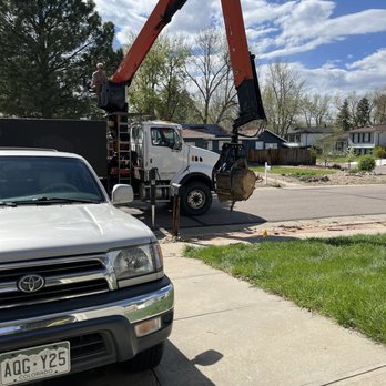 Preservation Tree Care - Tree trunk removal!! Same day the tree was cut down! Great service!! - Tree Services Near Me - Englewood, Colorado Preservation Tree Care - Tree trunk removal!! Same day the tree was cut down! Great service!! - Tree Services Near Me - Englewood, Colorado